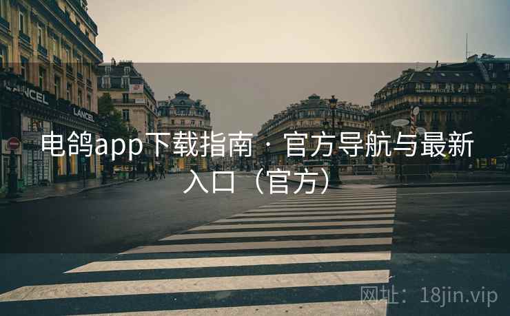 电鸽app下载指南 · 官方导航与最新入口（官方）