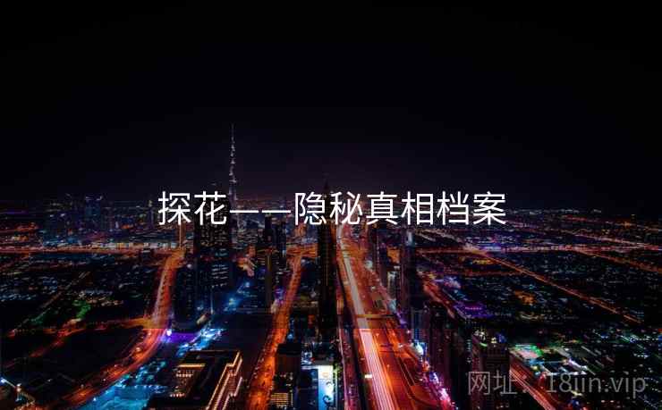 探花——隐秘真相档案