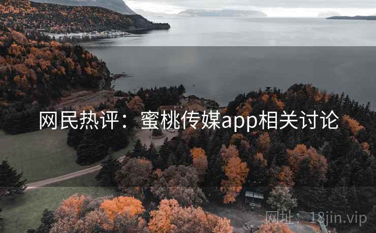 网民热评：蜜桃传媒app相关讨论  第2张
