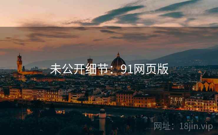 未公开细节：91网页版