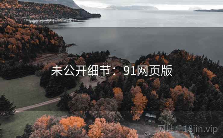 未公开细节：91网页版