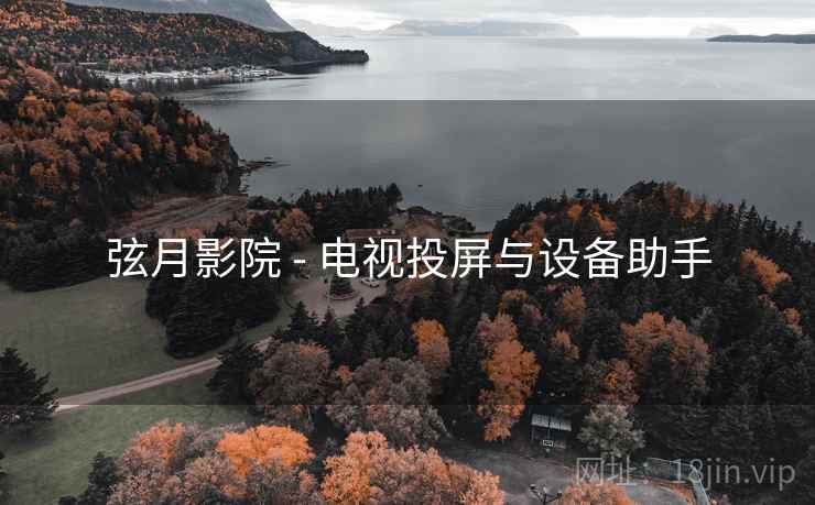 弦月影院 - 电视投屏与设备助手